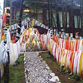 照片 677.jpg