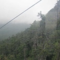IMG_0803.jpg