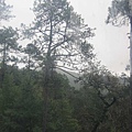 IMG_0805.jpg