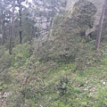 IMG_0806.jpg