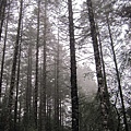 IMG_0808.jpg