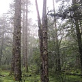 IMG_0809.jpg