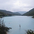 IMG_0815.jpg