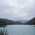 IMG_0818.jpg