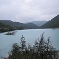 IMG_0819.jpg