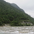 IMG_0822.jpg