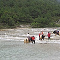 IMG_0831.jpg