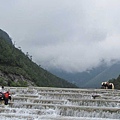 IMG_0833.jpg