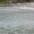 IMG_0834.jpg