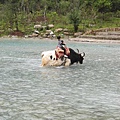 IMG_0835.jpg
