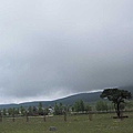 IMG_0856.jpg