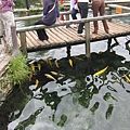 IMG_0865.jpg