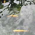 IMG_0866.jpg