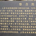 IMG_0869.jpg
