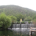 IMG_0879.jpg