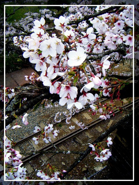 PhotoCap_029.jpg PhotoCap_029.jpg