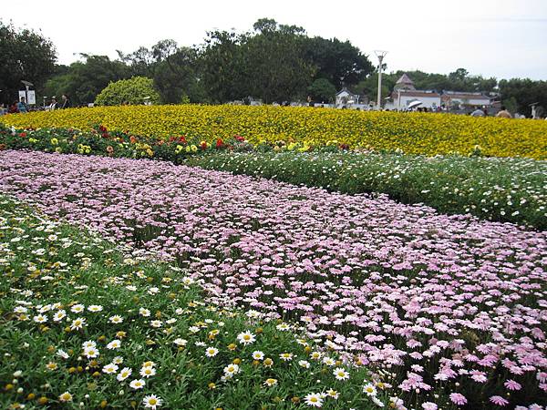 花海