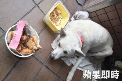 麥當勞小白2