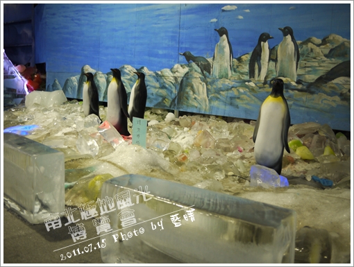 南北極地風光05.jpg 南北極地風光05.jpg