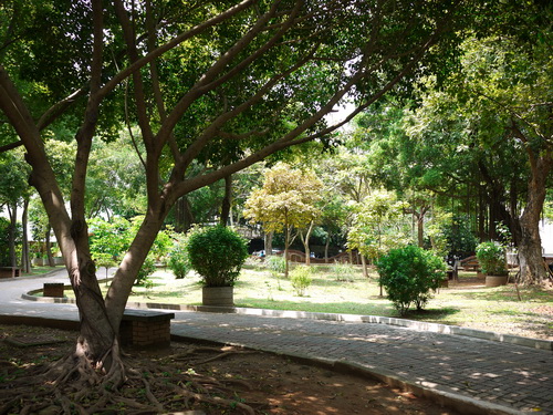 P1110834.JPG