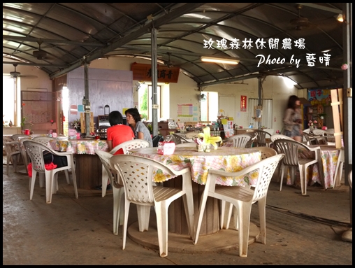 02-1玫瑰.jpg 02-1玫瑰.jpg