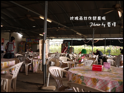 02-2玫瑰.jpg 02-2玫瑰.jpg