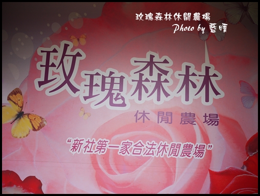 07-1玫瑰.jpg 07-1玫瑰.jpg