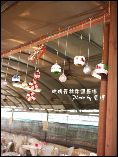 07-2玫瑰.jpg 07-2玫瑰.jpg