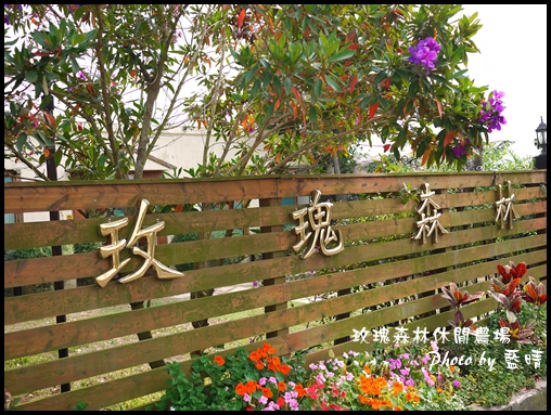07-3玫瑰.jpg 07-3玫瑰.jpg