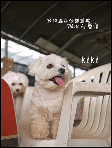 08-3玫瑰.jpg 08-3玫瑰.jpg