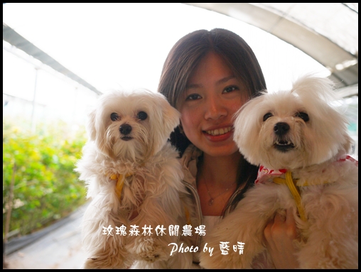 08-4玫瑰.jpg 08-4玫瑰.jpg