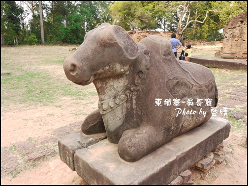 11-013-吳哥窟-神牛寺-聖牛.jpg 11-013-吳哥窟-神牛寺-聖牛.jpg