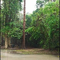 01-001-吳哥窟-塔普倫寺.jpg