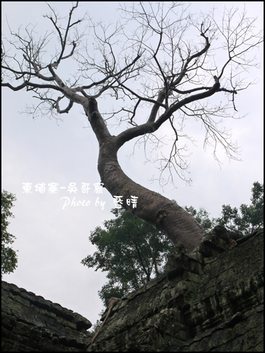 01-010-吳哥窟-塔普倫寺.jpg 01-010-吳哥窟-塔普倫寺.jpg
