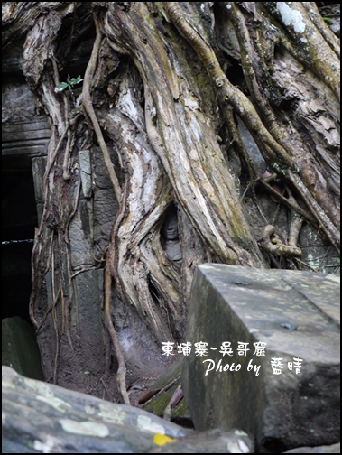 01-028-吳哥窟-塔普倫寺-隱藏的微笑.jpg 01-028-吳哥窟-塔普倫寺-隱藏的微笑.jpg