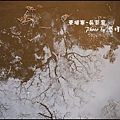 01-039-吳哥窟-塔普倫寺-水中倒映.jpg