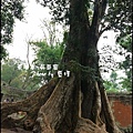 01-052-吳哥窟-塔普倫寺.jpg
