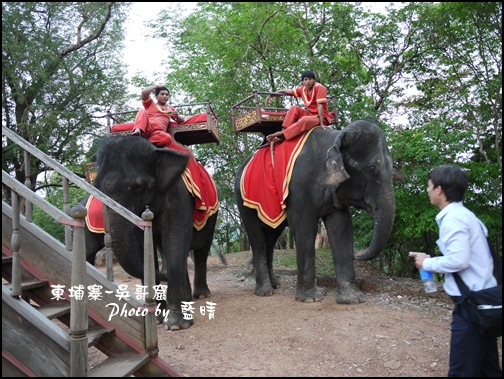 08-022-吳哥窟-巴肯山看日落-大象.jpg