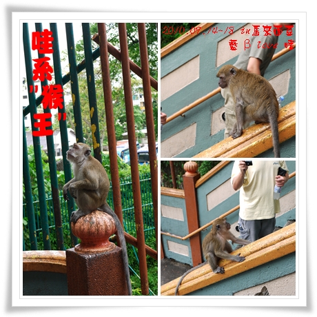 043-7黑風洞-猴子 043-7黑風洞-猴子