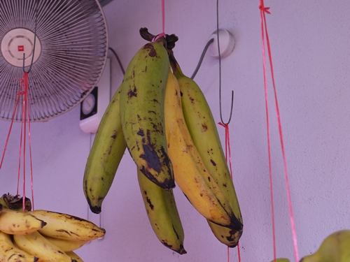 005大香蕉是烤的