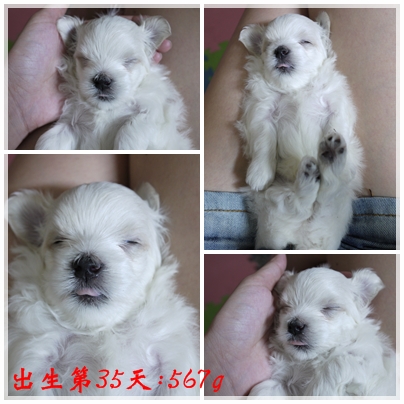 第35天-2 第35天-2