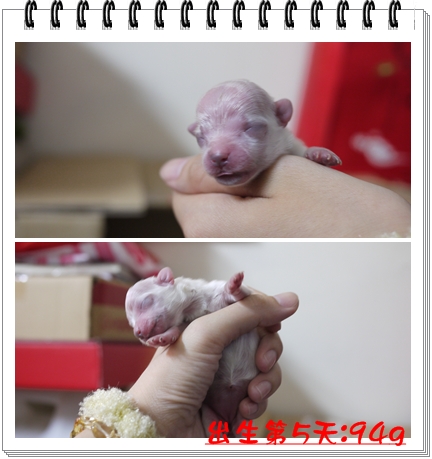 第5天 第5天