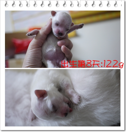 第8天-4 第8天-4