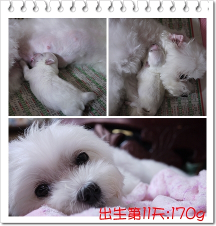 第11天 第11天