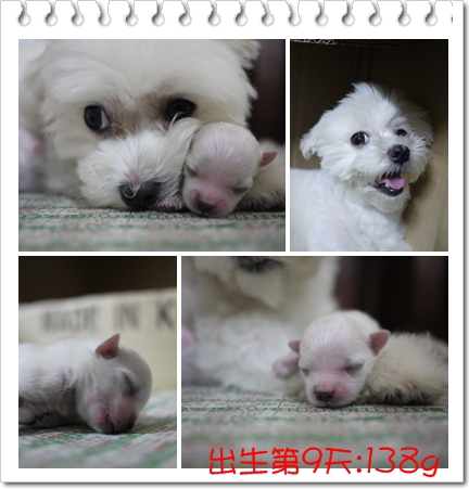 第9天 第9天