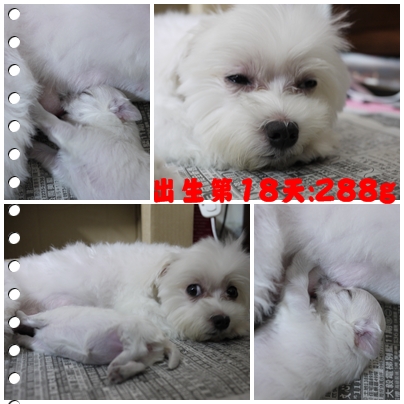 第18天 第18天