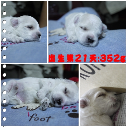 第21天-2 第21天-2