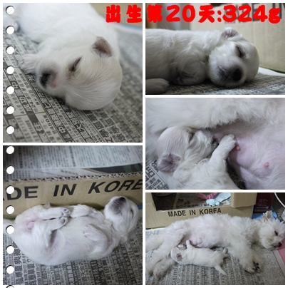第20天-2 第20天-2