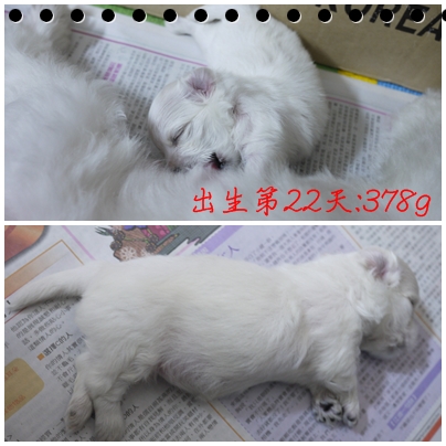 第22天 第22天