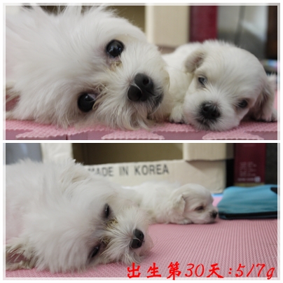 第30天-3 第30天-3